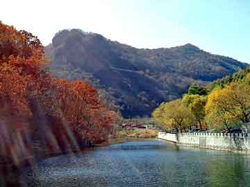 新奧好彩免費(fèi)查詢(xún)及77777888888管家婆網(wǎng)，全面釋義、專(zhuān)家解讀解釋與落實(shí)與警惕虛假宣傳-全面釋義、專(zhuān)家解讀解釋與落實(shí)